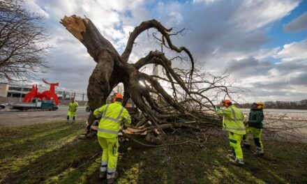 Sturmtief „Ylenia“ zog über Deutschland