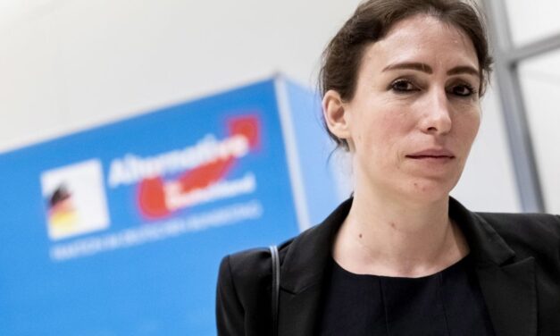 Unterstützung von Klimaextremisten durch Habecks Ministerium stoppen!