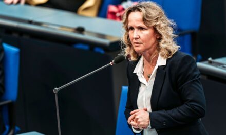 Mit moderner Mähtechnik Insekten im Grünland schützen