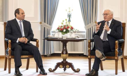 الغذاء العالمي والمناخ يتصدران مباحثات السيسي والرئيس الألماني