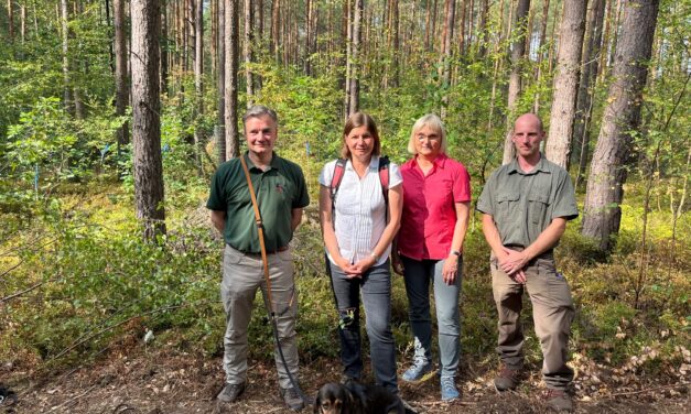 Wald naturnah bewirtschaften gegen Klimakrise und Biodiversitätsverlust
