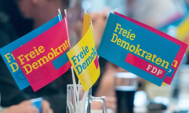 Die FDP will gestalten