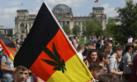 ألمانيا تقنن تدخين الحشيش وزراعته رسميا