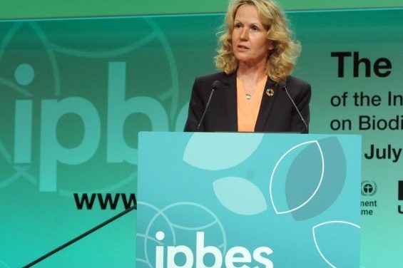 Steffi Lemke fordert einen besseren Schutz des Oder-Ökosystems