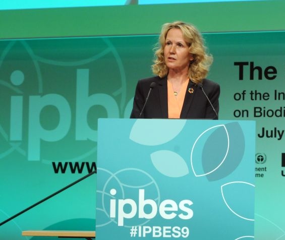 Steffi Lemke fordert einen besseren Schutz des Oder-Ökosystems