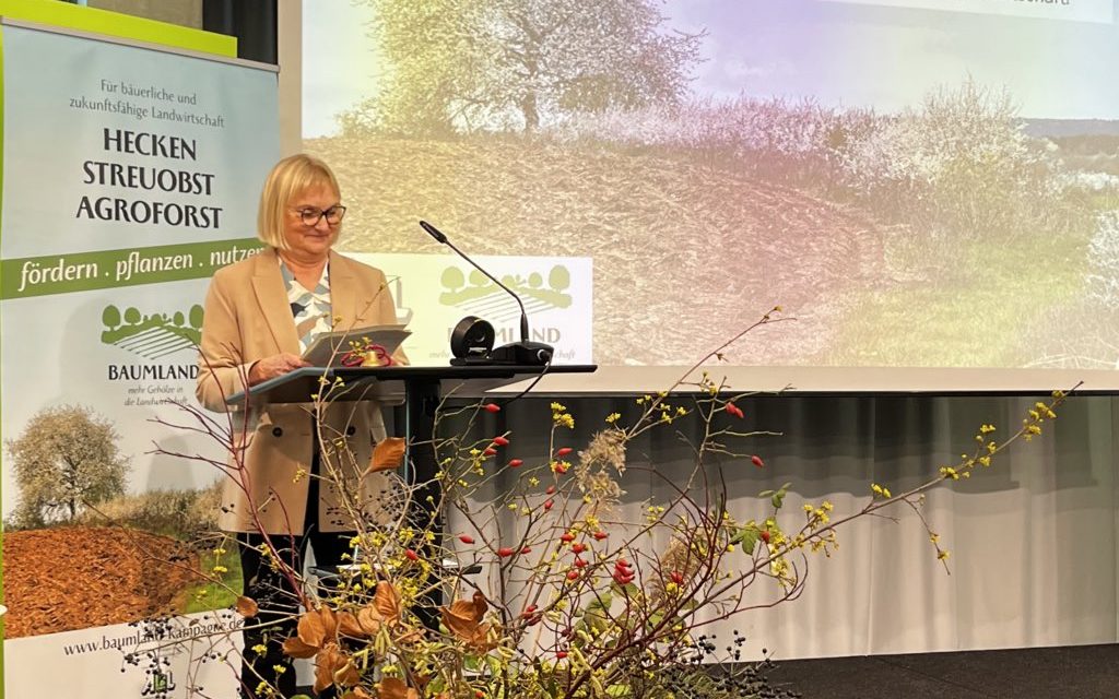 Bettina Hoffmann vergibt Auszeichnung an 13 abgeschlossene KI-Leuchtturmprojekte