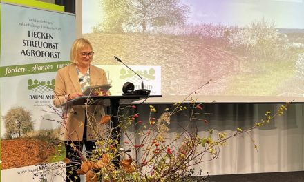 Bettina Hoffmann vergibt Auszeichnung an 13 abgeschlossene KI-Leuchtturmprojekte