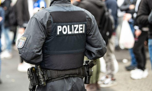 انتشار عناصر الشرطة الأوروبية مع الألمانية خلال اليورو