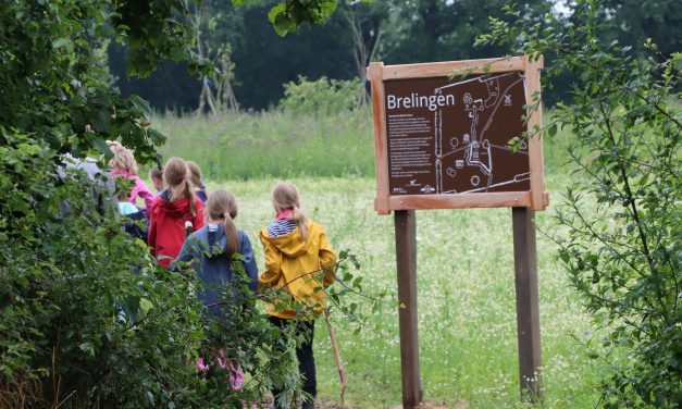 Koalition geht in die Sommerpause und vergisst die Kinder