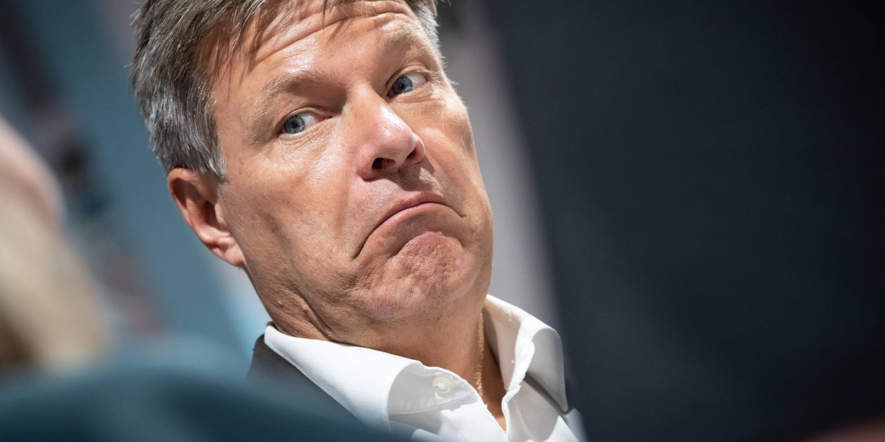 Habeck ruft zum Voting auf