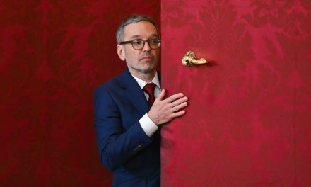 Weidel: Das österreichische Regierungsbildungsdesaster sollte Merz eine Warnung sein