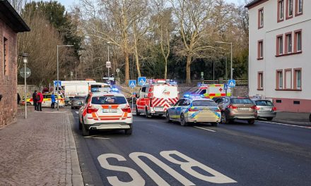 Kind und Erwachsener tot  Stich-Attacke in Aschaffenburger Park