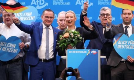 Völliges Behördenversagen beim Attentäter von Magdeburg 