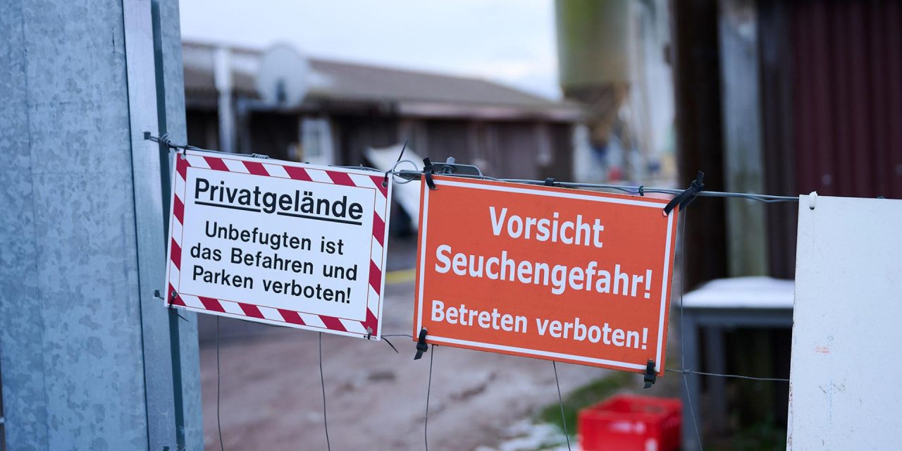 Bisher kein Fall von Maul- und Klauenseuche in Berlin