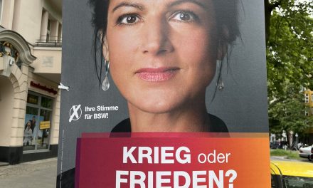 دعوات لإجراء استفتاء شعبي حول الهجرة في ألمانيا