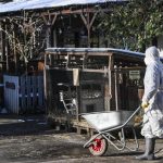 Berlin ist wieder MKS-frei