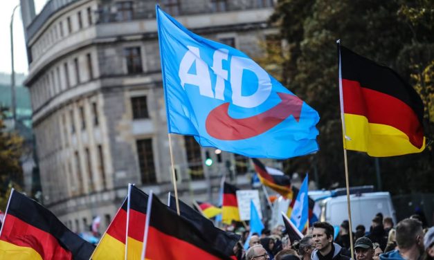 AfD reicht Klage und Eilantrag gegen Verfassungsschutz ein